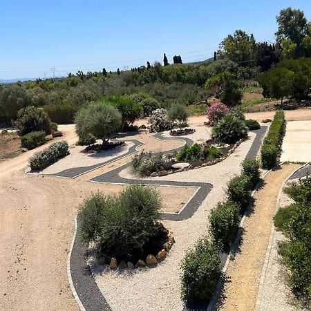 B&B Piandelidei Σάσαρι Εξωτερικό φωτογραφία